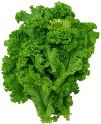 Mustard Greens